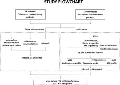 Application of metagenomic next-generation sequencing in the diagnosis of urinary tract infection in patients undergoing cutaneous ureterostomy